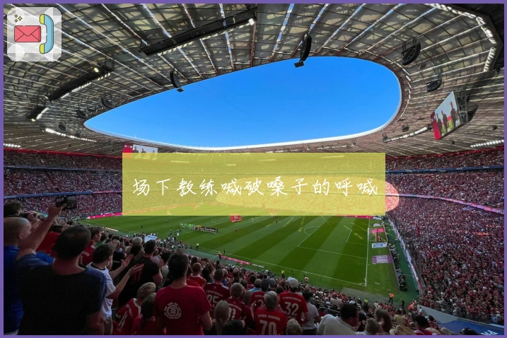 场下教练喊破嗓子的呼喊