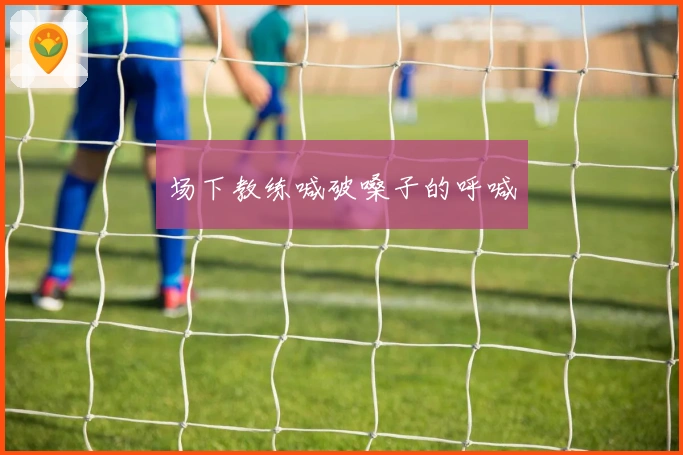 场下教练喊破嗓子的呼喊